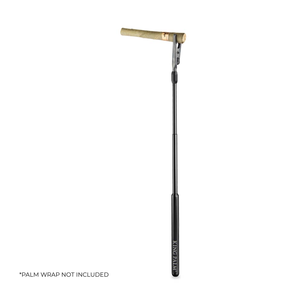 King Palm Roach Clip - 24ct