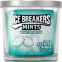 Icebreakers Mint Wintergreen Candles – 14oz - 4ct