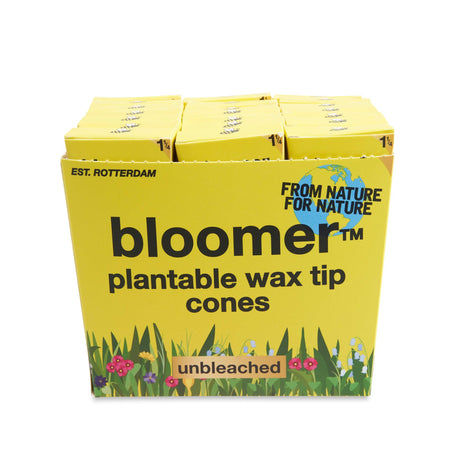 Bloomer 1 ¼ Cones with Wildflower Seed Tips – 21ct Display